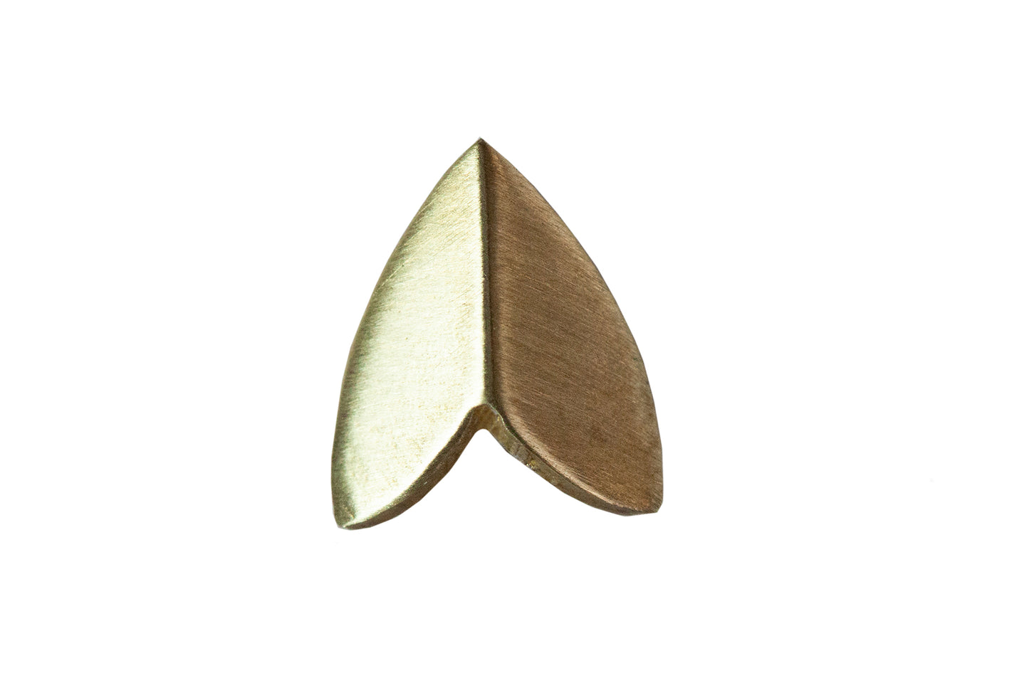 Close-up of Ellyse Bendillo brushed brass moth wing stud earrings showing detailed wing design.