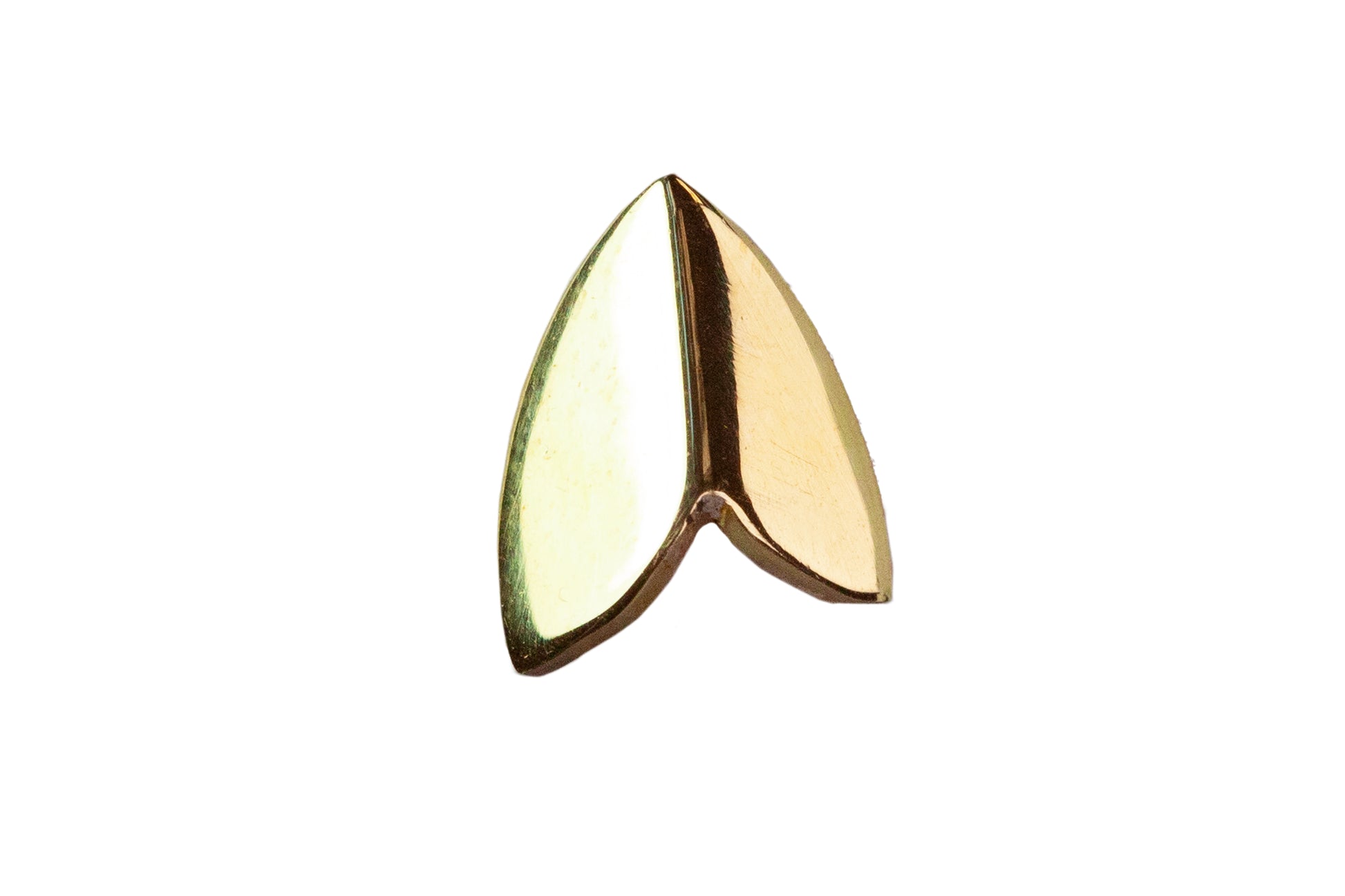 Close-up of Ellyse Bendillo polished brass moth wing stud earrings showing detailed, natural insect wing design.