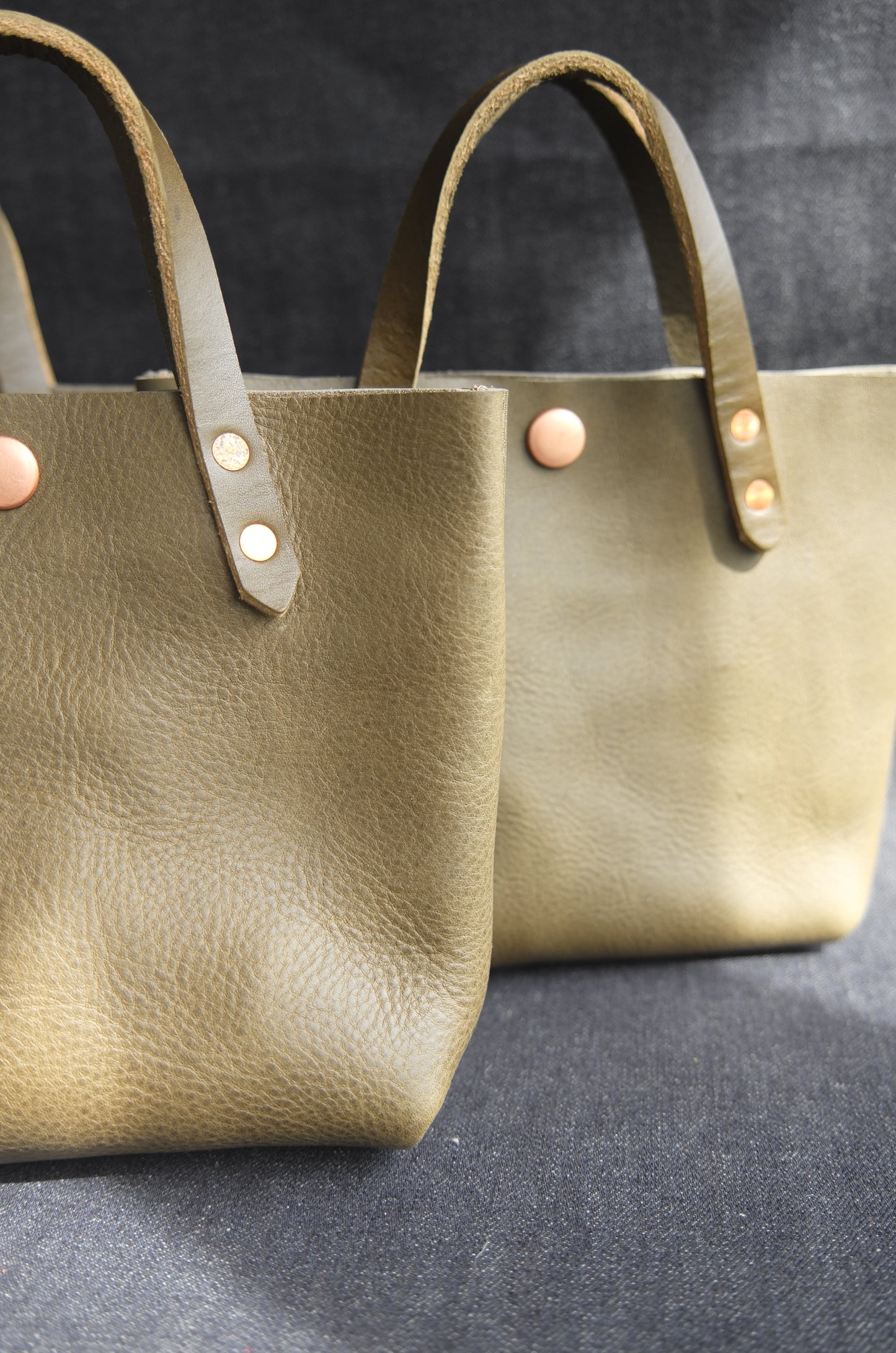 Mini Tote (Leather)