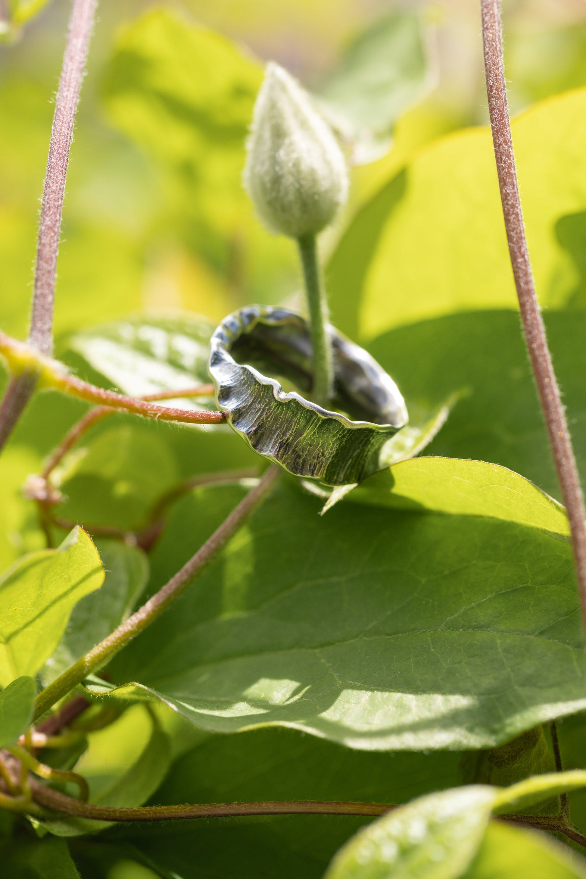 Orchid Band - Alloy Atelier