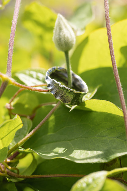 Orchid Band - Alloy Atelier