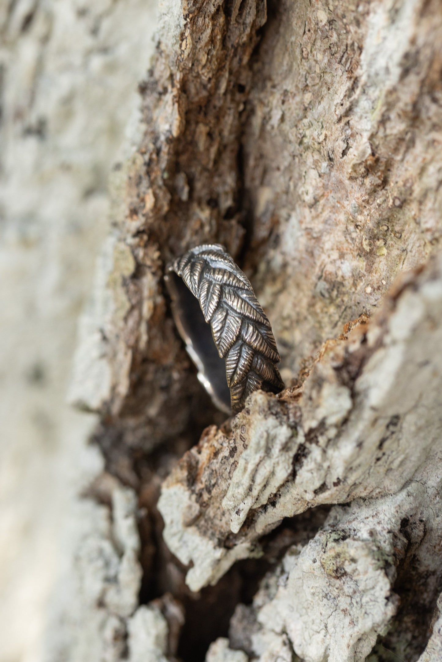 Braided Wreath Band - Alloy Atelier